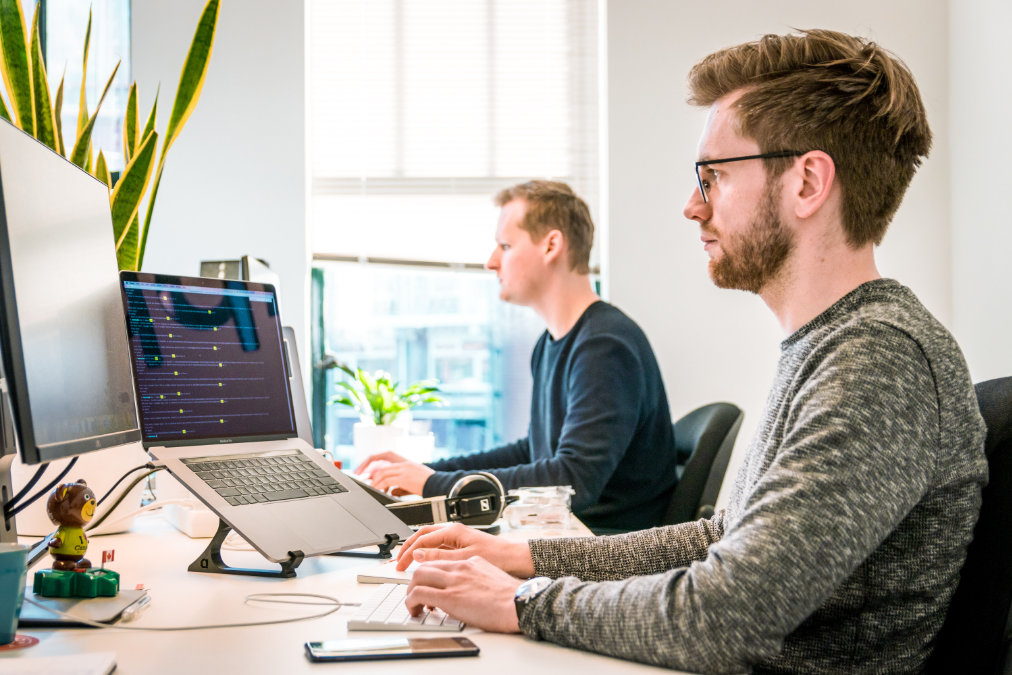Software developer